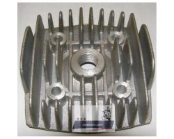 Головка цилиндра веломотор (прямая, F80)   EVO