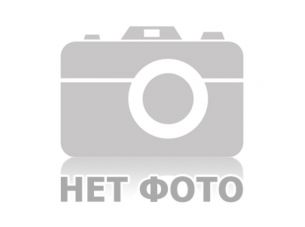 Защита бака топливного мотокосы   EVO