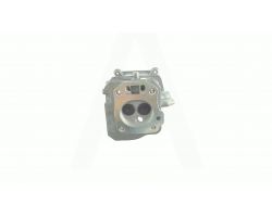 Головка цилиндра м/б   168F/170F   (6-7Hp)   (в сборе)   ST