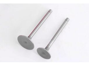 Клапаны (пара, голые) м/б   178F  (6Hp)   ST