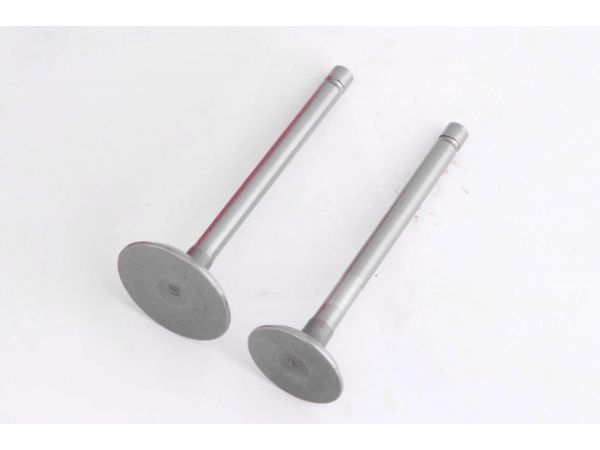 Клапаны (пара, голые) м/б   178F  (6Hp)   ST