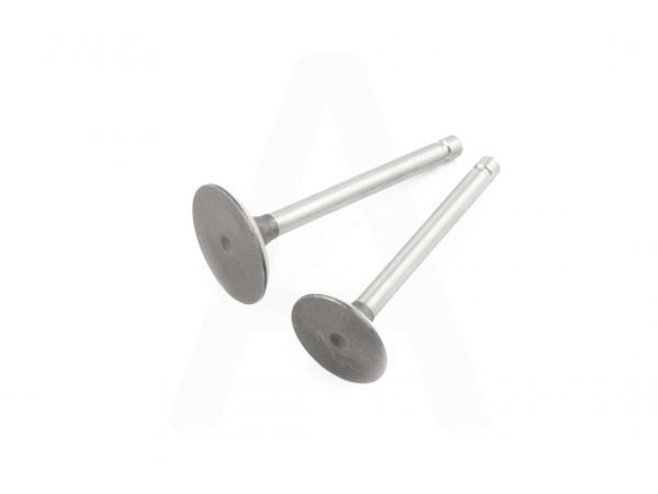 Клапаны (пара, голые) м/б   190N/195N   (12/15Hp)   ST