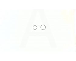 Гнезда впускного и выпускного клапанов м/б   190N   (12Hp)   ST