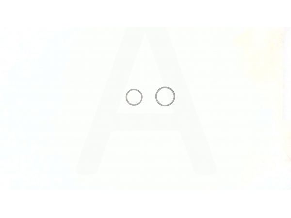 Гнезда впускного и выпускного клапанов м/б   190N   (12Hp)   ST