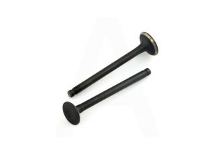 Клапаны (пара, голые)  4T GY6 80  (L-69mm)   ST