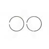 Кольца б/п   для Goodluck GL5200   (Ø45mm)   (EMAS)   EVO