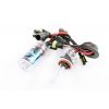 Лампы ксеноновые (пара)   H9 (12V 35W DC AMP)   6000K