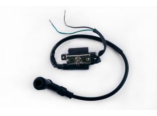 Катушка зажигания   Delta, Alpha   (+насвечник)   (TM)   EVO