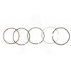 Кольца   4T GY6 60   0,25   (Ø44,25)   (SEE)   EVO