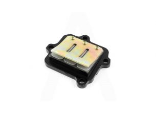 Лепестковый клапан   2T Stels 50   (1E40QMB)
