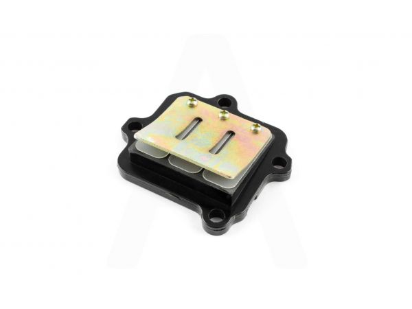 Лепестковый клапан   2T Stels 50   (1E40QMB)