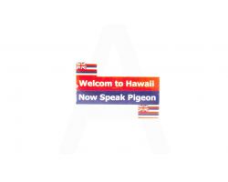 Наклейка   на номер   WELCOM TO HAWAII   (8x8см)
