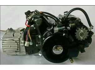 Двигатель   Delta, Activ 110cc   (АКПП 152FMH)   (чёрный)   EVO