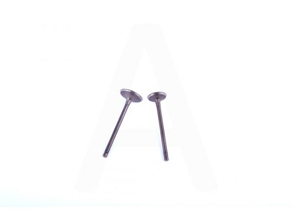 Клапаны (пара, голые)   4T GY6 150   TA