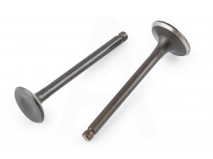 Клапаны (пара, голые)   Delta 70   (L-66mm)   TA