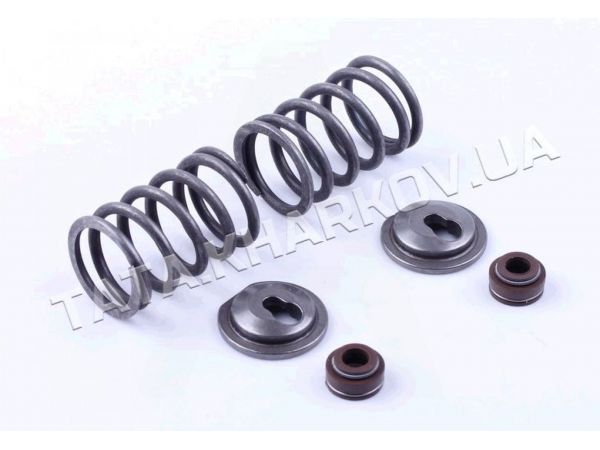 Клапанный механизм м/б (в сборе)   177F/188F   (9/13Hp)   (на 2 клапана)   TA