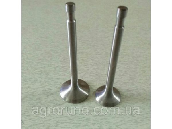 Клапаны (пара, голые) м/б  180N   (9Hp)   TD