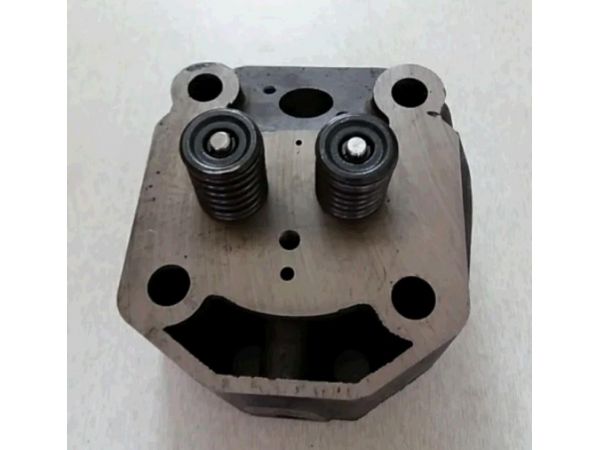 Головка цилиндра м/б   195N   (12Hp)   (в сборе)   (ZUBR)   ST