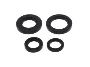 Сальники (набор)   Suzuki SEPIA   EVO