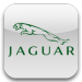 JAGUAR JAGUAR